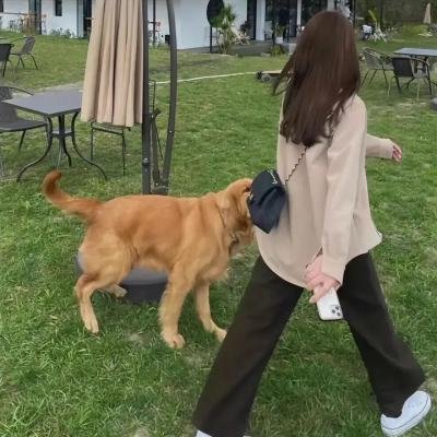 银行家的抵抗